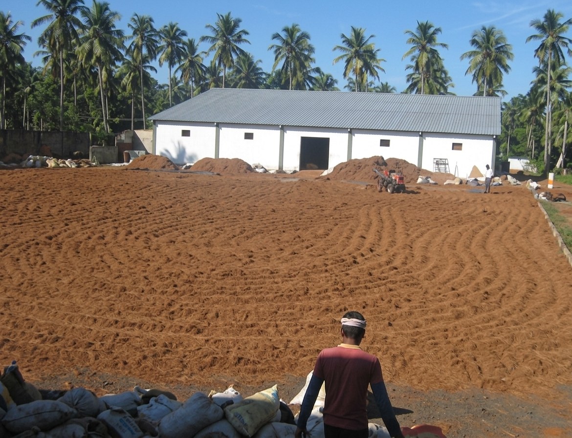 Coconut husk drying at the Vegiland drying yard, with the factory and coconut palms behind