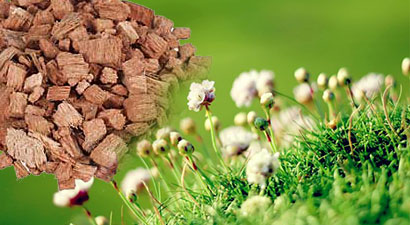 Gardening Products Vegiland Coir Coconut Husk Chips